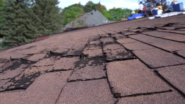 Roof Moss and Algae Removal in Canyon, TX